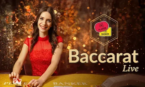 Terms and Conditions Document