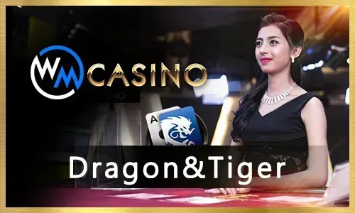 Live Casino Game Guide